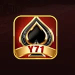 y71 game