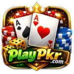 Playapkr game
