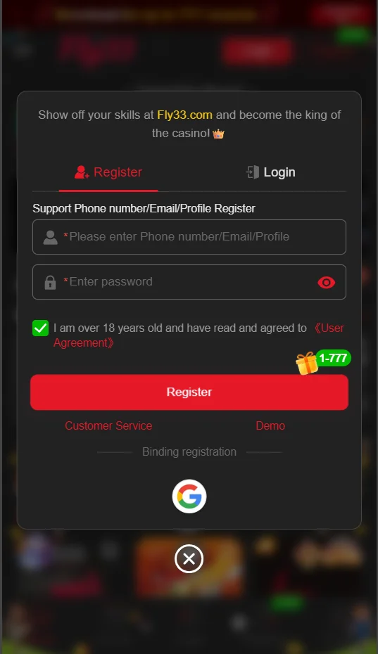 fly33 app