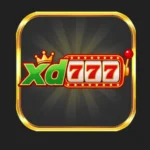 xd777 game